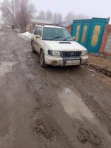 Subaru: Subaru Forester: 1999 г., Автомат, Кроссовер — 3