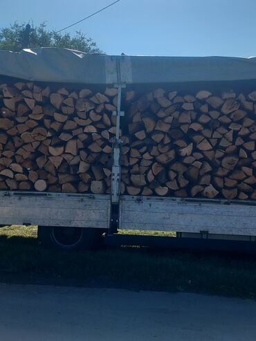 Oprema za grejanje: Ogrevno drvo – tvrde vrste, isečeno i cepano - Vrsta: tvrdo lišćarsko — 11