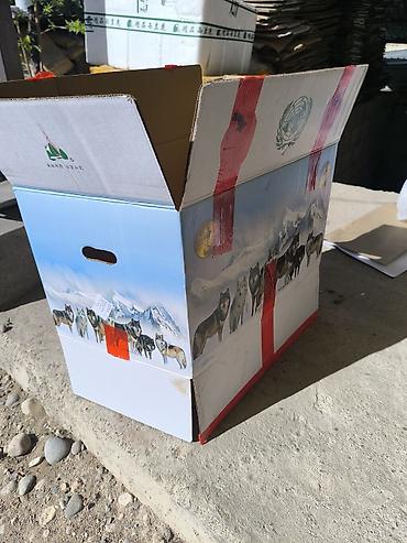 Ящики: Ящик — 10