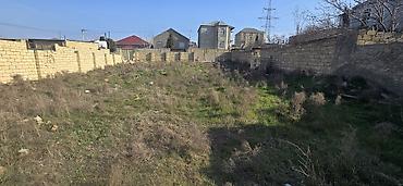 ev ve torpaq: 6 sot, Kənd təsərrüfatı, Mülkiyyətçi, Kupça (Çıxarış) — 2