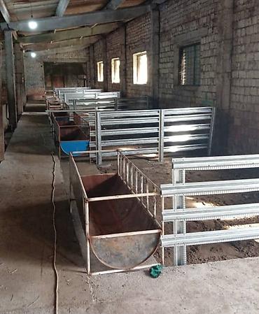 Товары и оборудование для с/х животных: КОРМУШКИ, БУНКЕРНЫЕ КОРМУШКИ. Изготавливаю НОВЫЕ бункерные кормушки — 17