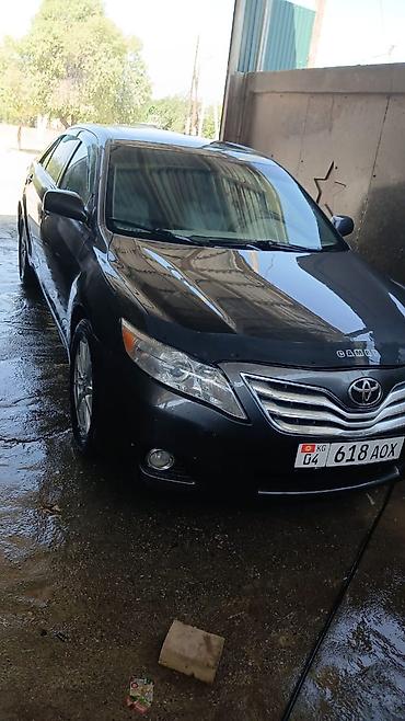 jetta 2: Toyota Camry: 2009 г., 2.5 л, Автомат, Бензин, Седан — 6