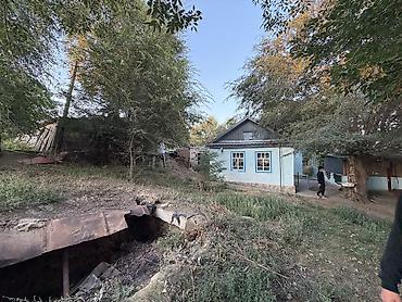 село лелиниское: Продается дача в селе Маяк Вода электричество есть Дача 19 соток — 3