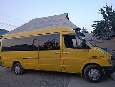 mazda 929: Желтый пассажирский микроавтобус Mercedes-Benz Sprinter (длинная база — 2