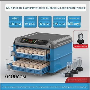 Оборудование для производства: Инкубаторы с двойным электроприводом и полностью автоматическим — 10