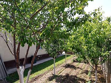 Продажа коттеджей и домов: БАРДЫК ШАРТЫ МЕНЕН ЖАНЫ ҮЙ САТЫЛАТ! Үй өзүбүз үчүн курулган, бардык — 4