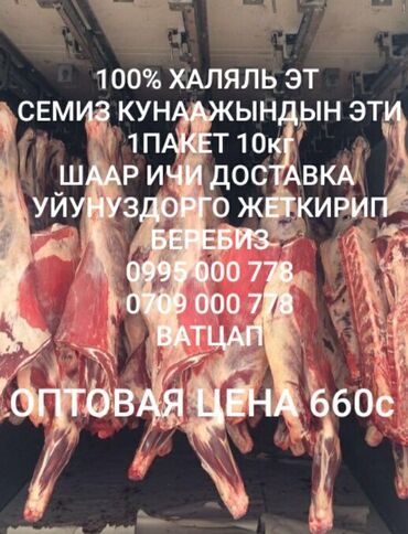 оптом форель: Говядина : Лопатка, Ребра, 10 кг, Более 10 кг, Платная доставка