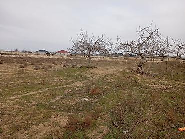 razinda torpag: Tikinti — 2