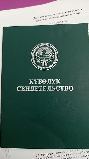 15 соток, Для сельского хозяйства, Договор дарения