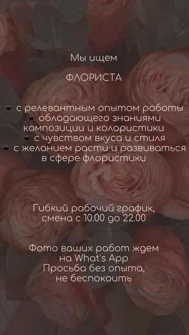 упаковщицы без опыта: Мы ищем сотрудника с опытом работы. Зп достойная, главное опыт работы