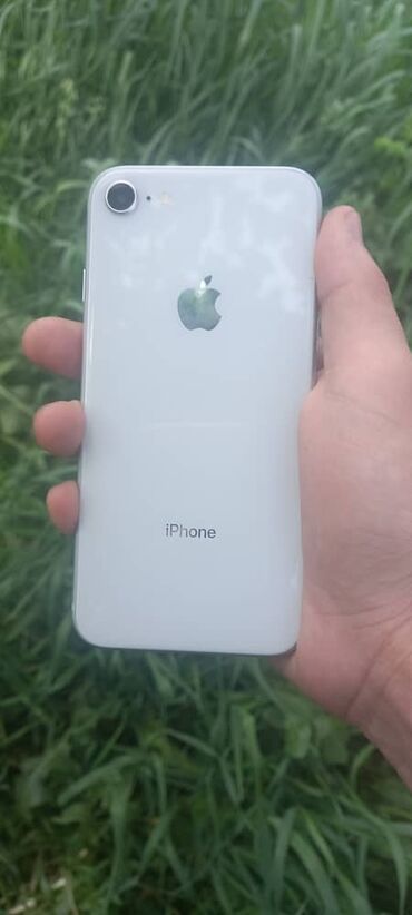 chasy apple: IPhone 8, Б/у, 64 ГБ, Белый, Кабель, 79 %