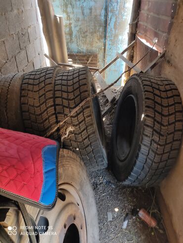 Колеса в сборе: Колеса в сборе R 22,5, Зима, Б/у, Комплект, С/х техника, Железные at lalafo.kg — 9 Колеса в сборе: Колеса в сборе R 22,5, Зима, Б/у, Комплект, С/х техника, Железные — 9