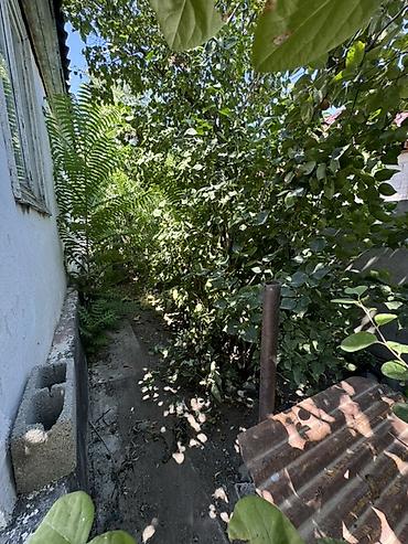 от базар: Продаётся частный дом с участком. - В продаже дом 7 комнат без — 3