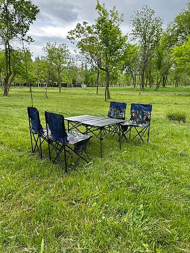 picnic: Стол комплект для похода и пикника — 3