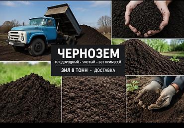 Бесплатная доставка, Зил