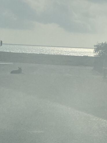 Həyət evləri və villaların satışı: Hövsan qəs. 3 otaqlı, 120 kv. m, Kredit yoxdur, Yeni təmirli — 8