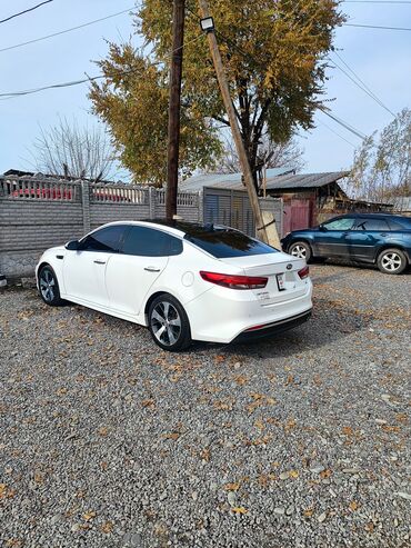 Kia: Kia Optima: 2018 г., 2.4 л, Типтроник, Бензин, Седан