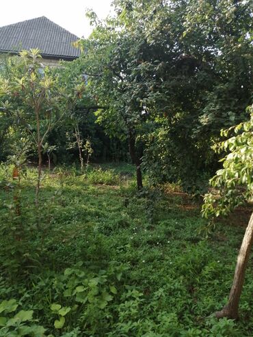 Həyət evləri və villaların satışı: 10 otaq, 334 kv. m, Kredit yoxdur, Təmirsiz — 7