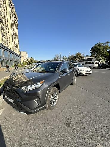 Toyota: Toyota RAV4: 2019 г., Гибрид, Кроссовер — 2