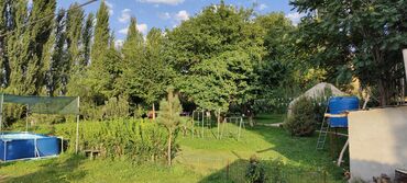 Сельхоз предприятия: Продается Кашара Фермерское- хозяйство с действующим бизнесом и с — 6