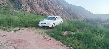Audi 100: 1996 г., 2.6 л, Универсал — 3