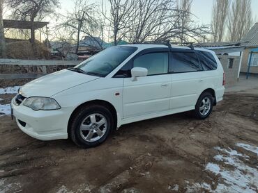 аренда машина ош фит: Honda Odyssey: 2000 г., 2.3 л, Автомат, Бензин, Минивэн