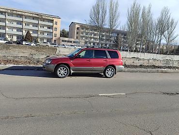 срв 1997: Subaru Forester: 2003 г., 2 л, Автомат, Газ, Кроссовер — 5