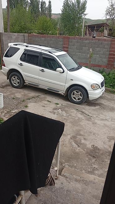 srv 3: Mercedes-Benz ML-Class AMG: 1998 г., 3.2 л, Автомат, Газ — 5