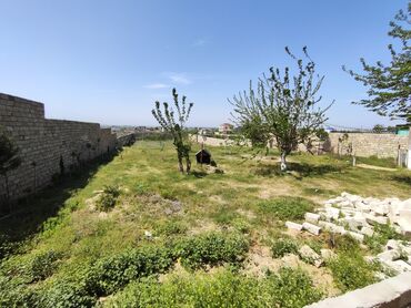 Torpaq sahələrinin satışı: Tikinti, Mülkiyyətçi, Kupça (Çıxarış)