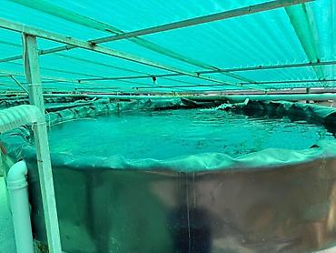 Продажа другой коммерческой недвижимости: 🐟 Продаётся действующее рыбное хозяйство с развитой инфраструктурой 📍 — 11