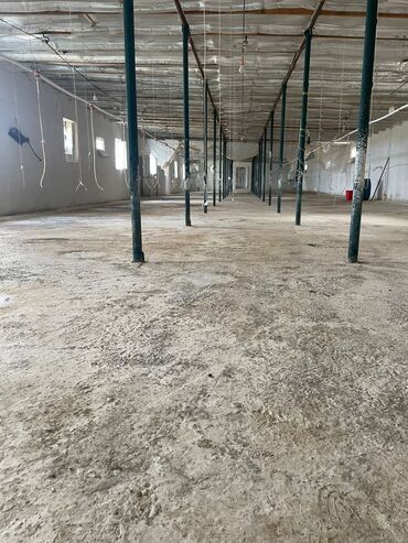 Kommersiya daşınmaz əmlakının satışı: TƏCİLİ SATILIR! Quşçuluq və heyvandarlıq üçün nəzərdə tutulmuş ferma -da lalafo.az — 3 Kommersiya daşınmaz əmlakının satışı: TƏCİLİ SATILIR! Quşçuluq və heyvandarlıq üçün nəzərdə tutulmuş ferma — 3