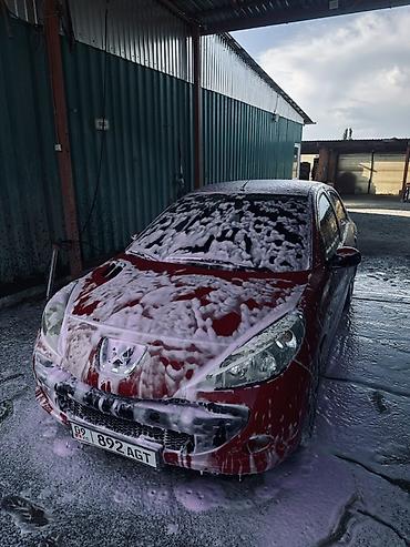 пуди 100: Peugeot 207: 2010 г., 1.3 л, Механика, Бензин, Хэтчбэк — 7