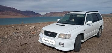 форестер машина: Subaru Forester: 2001 г., 2 л, Автомат, Бензин, Кроссовер