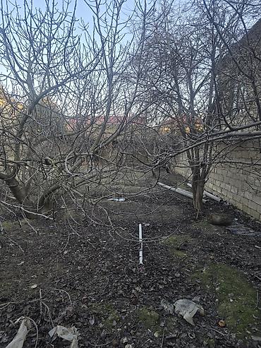 Torpaq sahələrinin satışı: 16 sot, Tikinti — 8