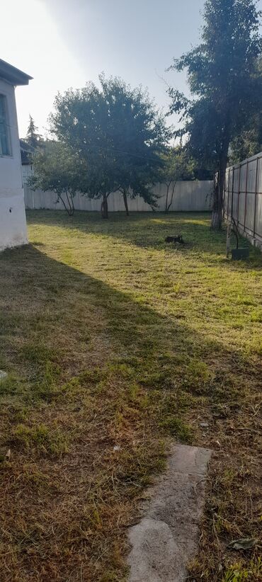 Həyət evləri və villaların satışı: Həyət evləri və villaların satışı -da lalafo.az — 2 Həyət evləri və villaların satışı: Həyət evləri və villaların satışı — 2