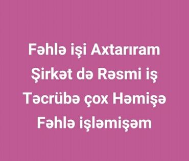Digər ixtisaslar: Salam Şirkət Fəhləsi Rəsmi iş Axtarıram Evliyəm Ailə uşağım var və