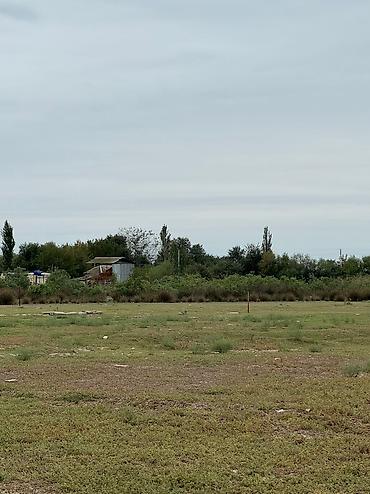 hovsanda torpaq satilir 2025: 8 sot, Tikinti, Mülkiyyətçi, Bələdiyyə — 2
