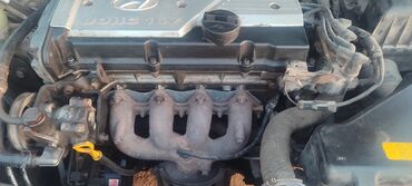 купить машину хендай солярис: Hyundai Accent: 2007 г., 1.5 л, Механика, Бензин, Седан