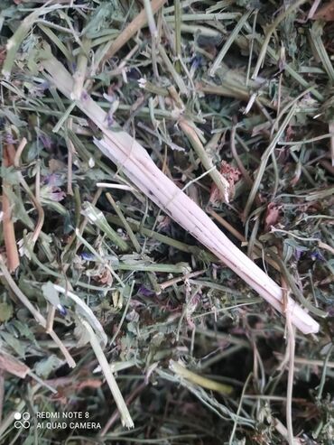 Корма для с/х животных: Сено в тюках - Прессованные прямоугольные тюки, перевязанные — 7