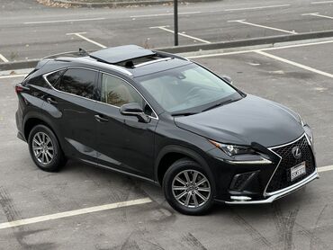 хонда одиссей климат контроль: Lexus NX: 2019 г., 2 л, Автомат, Бензин, Кроссовер