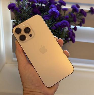 samsung fold: IPhone 16 Pro, цвет Gold - Тройная камера: ширик, ультраширик — 1