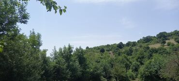 Torpaq sahələrinin satışı: 12 sot, Mülkiyyətçi, Kupça (Çıxarış) — 13