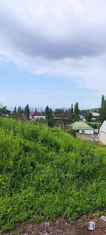 панораме: 12 соток, Для строительства, Красная книга — 1