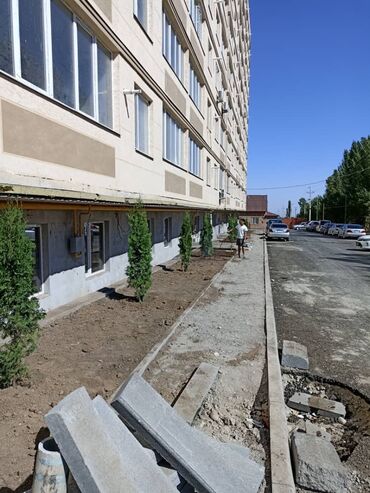 Декоративные деревья: Продаются декоративные хвойные растения 🌿🌲 Мы имеем большой опыт — 6