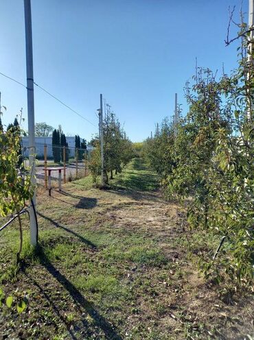 Prodaja zemljišta: Poljoprivredno zemljište — 2