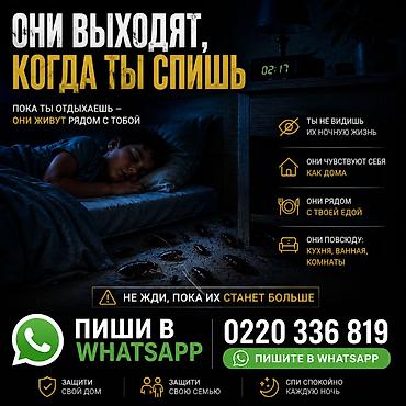 клининн: Профессиональная дезинсекция от тараканов и клопов - Комплексная — 1