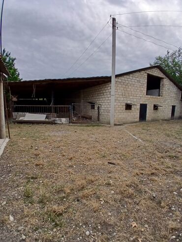 Kənd təsərüfatı heyvanları üçün digər mallar: Salam Arenda veya satmaq Heyvan saxlanılan təsərrüfat/qoyun‑malqar — 6