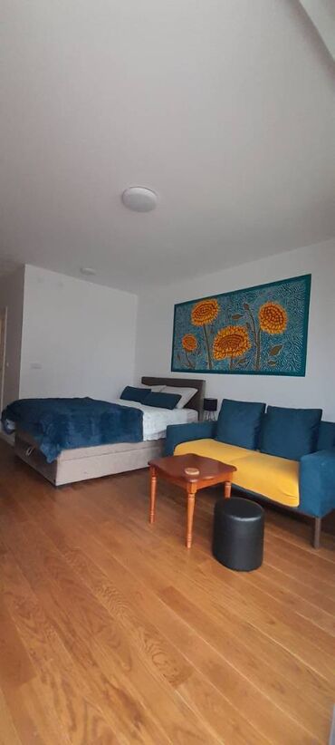 Stan na dan: Studio-stan — 11