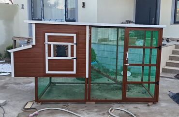 Yuvalar: Tuyuq yuvası Hin sifarişlə hazırlanması istənilən ölçüdə tam — 9