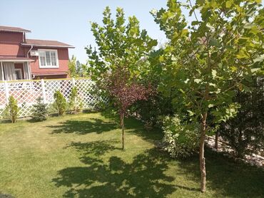 Другие услуги: 🍀стрижка хвойных🍀 🍀обрезка деревьев🍀 🍀Газон под ключ. 🍀Все виды — 9